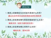 【精选备课】2022年春北师大版生物八下 8.23.3生态系统的结构和功能（教案+课件+学案+练习）