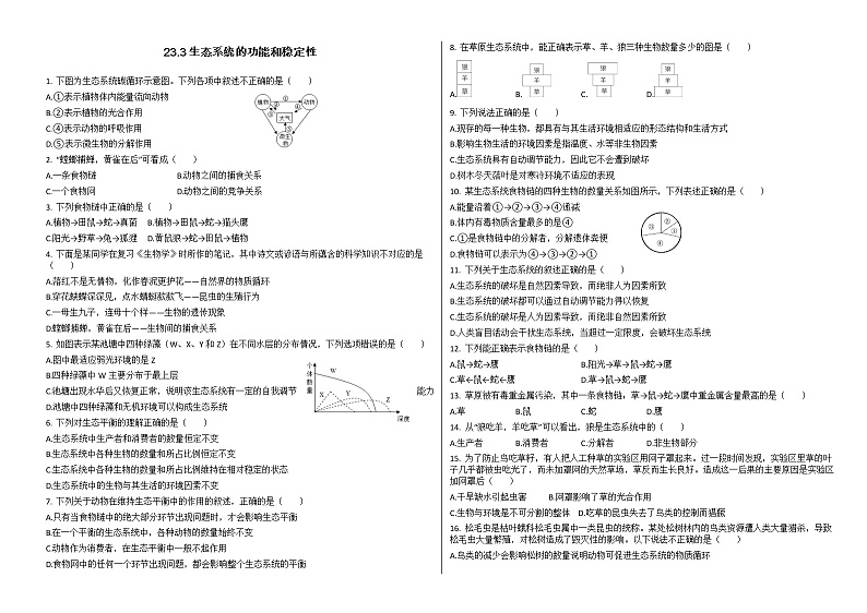 【精选备课】2022年春北师大版生物八下 8.23.3生态系统的结构和功能（教案+课件+学案+练习）01
