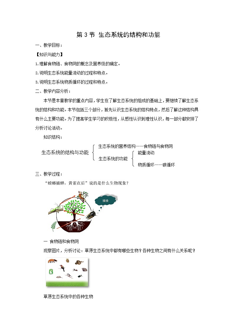 【精选备课】2022年春北师大版生物八下 8.23.3生态系统的结构和功能（教案+课件+学案+练习）01