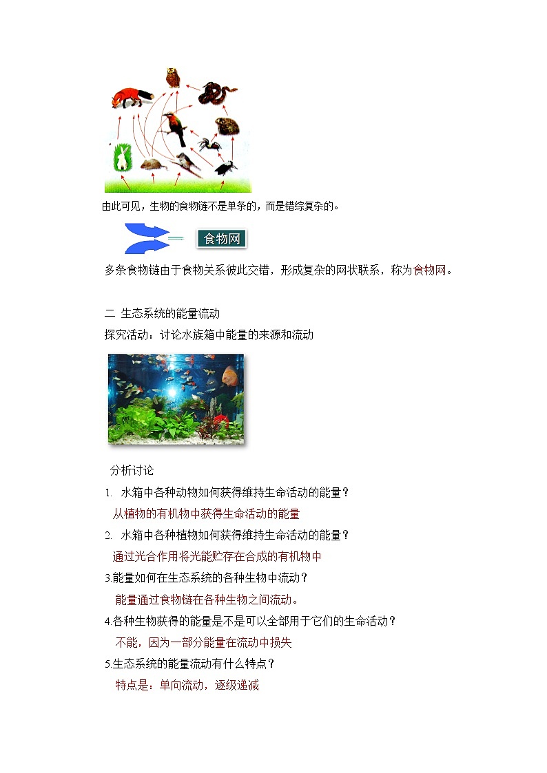 【精选备课】2022年春北师大版生物八下 8.23.3生态系统的结构和功能（教案+课件+学案+练习）03