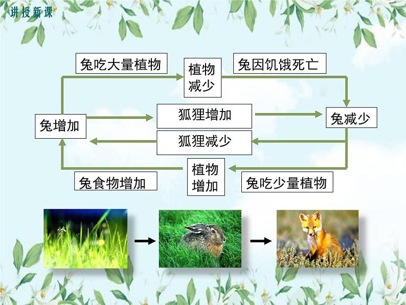 【精选备课】2022年春北师大版生物八下 8.23.4生态系统的稳定性（教案+课件+学案+练习）07