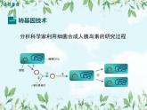 【精选备课】2022年春北师大版生物八下 9.25.2现代生物技术（教案+课件+学案+练习）