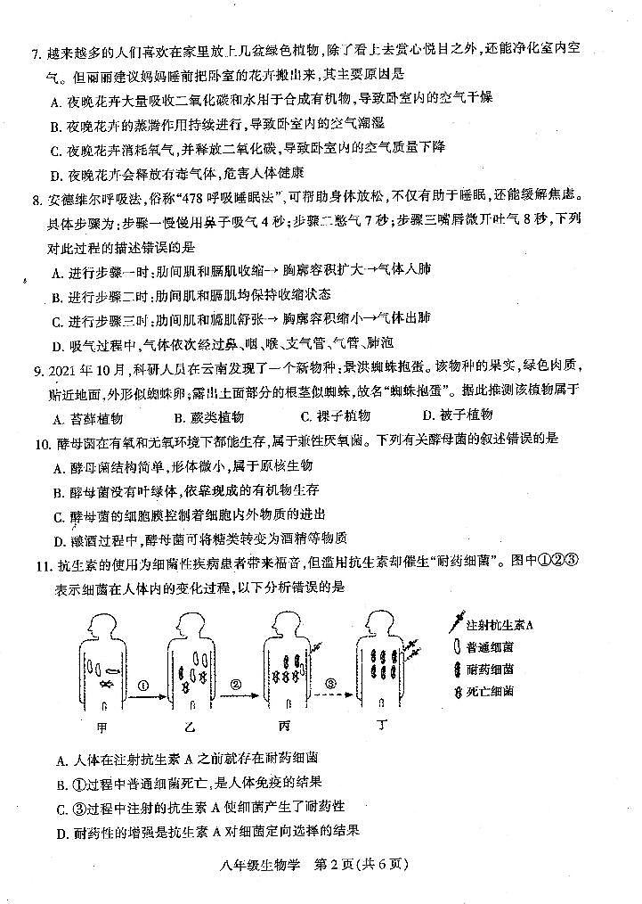 2022年河南省平顶山市中招学科模拟考试（一）（一模）生物试卷02