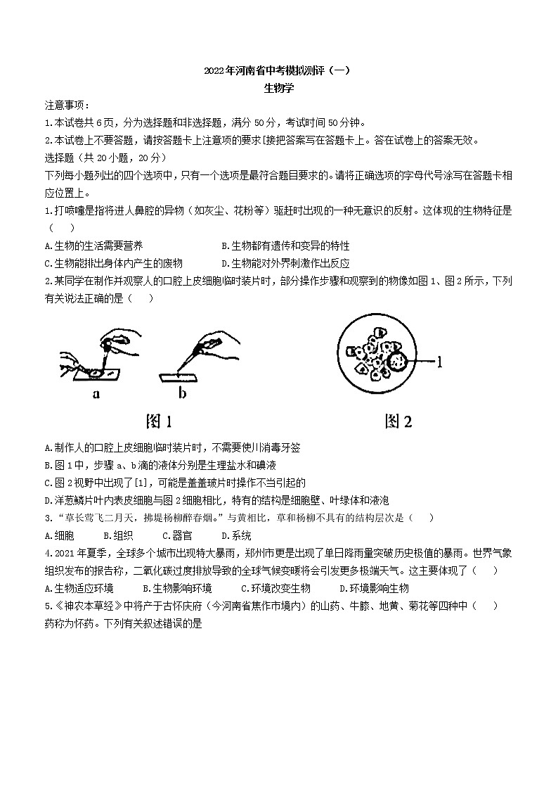 2022年河南省南阳市淅川县中考一模生物试题第1页