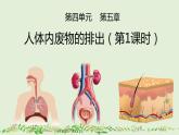 4-5人体内废物的排出（第1课时）-【同步备课】2021-2022学年七年级生物下学期优质教学课件（人教版）