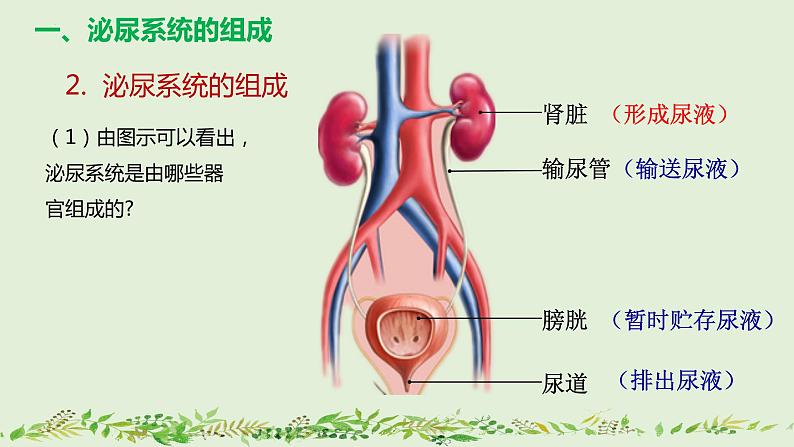 4-5人体内废物的排出（第1课时）-【同步备课】2021-2022学年七年级生物下学期优质教学课件（人教版）08