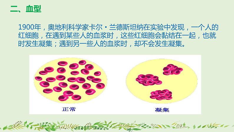 4-4-4输血与血型-【同步备课】2021-2022学年七年级生物下学期优质教学课件（人教版）第7页