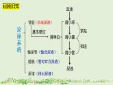 4-5人体内废物的排出（第2课时）-【同步备课】2021-2022学年七年级生物下学期优质教学课件（人教版）