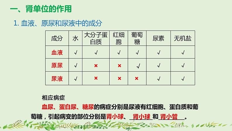 4-5人体内废物的排出（第2课时）-【同步备课】2021-2022学年七年级生物下学期优质教学课件（人教版）第8页