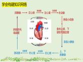 4-4-3输送血液的泵——心脏（第2课时）-【同步备课】2021-2022学年七年级生物下学期优质教学课件（人教版）
