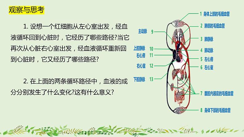 4-4-3输送血液的泵——心脏（第2课时）-【同步备课】2021-2022学年七年级生物下学期优质教学课件（人教版）06