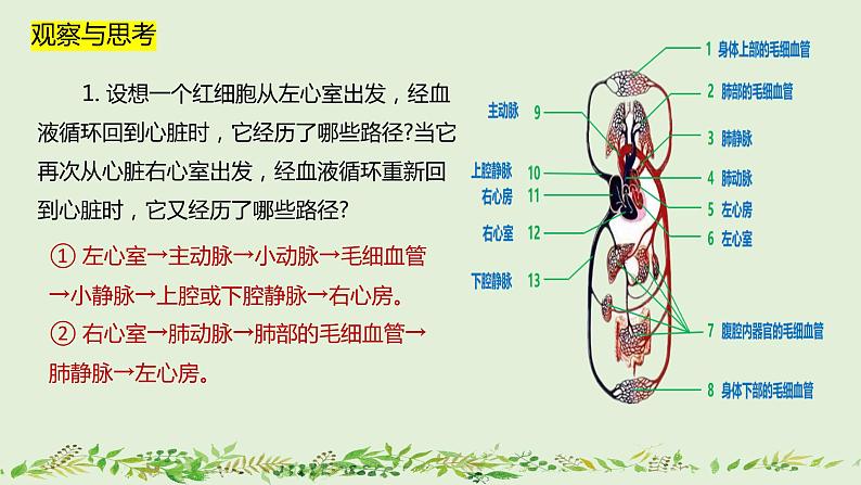 4-4-3输送血液的泵——心脏（第2课时）-【同步备课】2021-2022学年七年级生物下学期优质教学课件（人教版）07