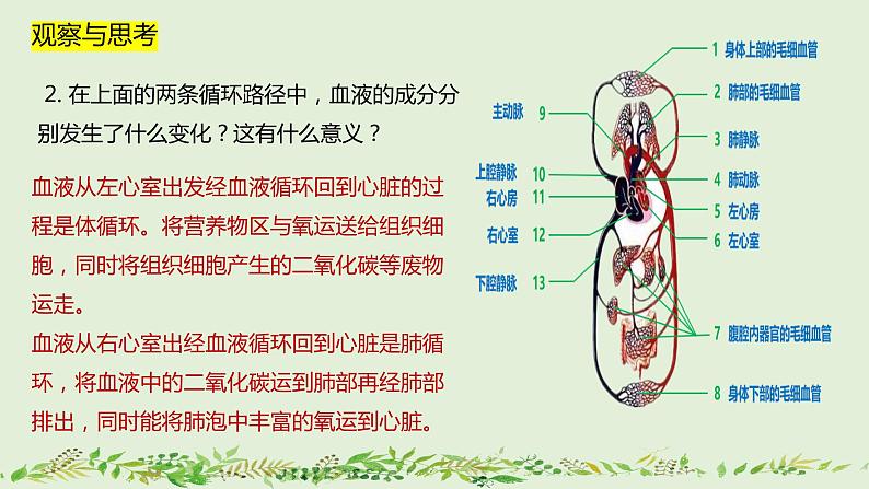 4-4-3输送血液的泵——心脏（第2课时）-【同步备课】2021-2022学年七年级生物下学期优质教学课件（人教版）08