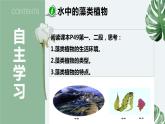 10-2水中的藻类植物-【备课精选】2021-2022学年七年级生物下册同步教学精品课件（苏科版）