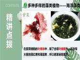 10-2水中的藻类植物-【备课精选】2021-2022学年七年级生物下册同步教学精品课件（苏科版）