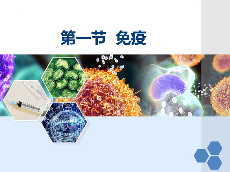 6-1免疫（非特异性免疫、特异性免疫）-【精准备课】2021-2022学年七年级生物下册同步教学优质课件（冀少版）03