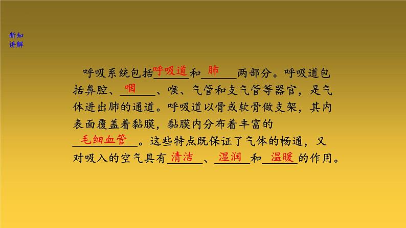 3-2-1人体与外界的气体交换-【备好公开课】2021-2022学年七年级生物下学期同步精品课件（济南版）第6页