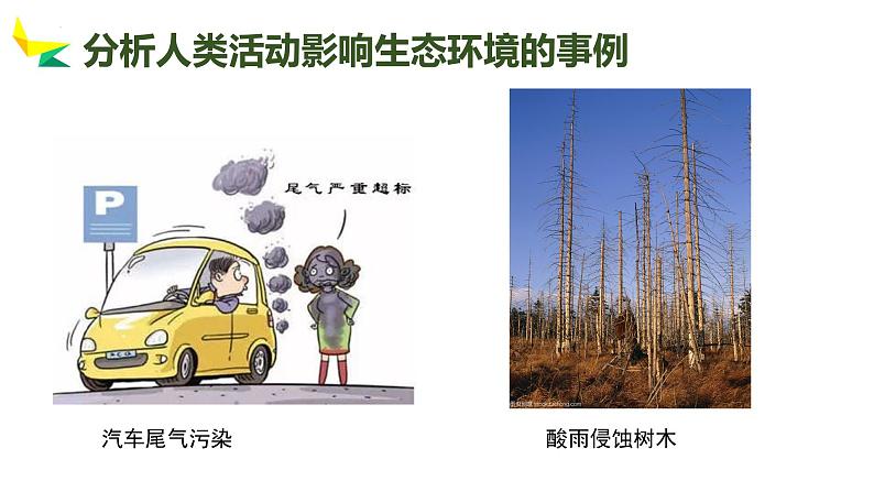 7人类活动对生物圈的影响（课件）-【当堂学练】2021-2022学年七年级生物下册优质备课资源（人教版）第8页