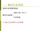 6-1城市生态与城市环境保护-2021-2022学年初二生物下学期同步精品课件（沪教版第二册）