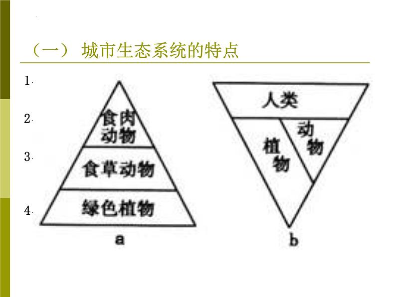 6-1城市生态与城市环境保护-2021-2022学年初二生物下学期同步精品课件（沪教版第二册）04