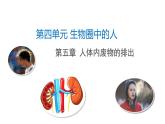 4-5人体内废物的排出-【高效同步】2021-2022学年七年级生物下学期同步精品备课课件（人教版）