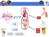 4-5人体内废物的排出-【高效同步】2021-2022学年七年级生物下学期同步精品备课课件（人教版）