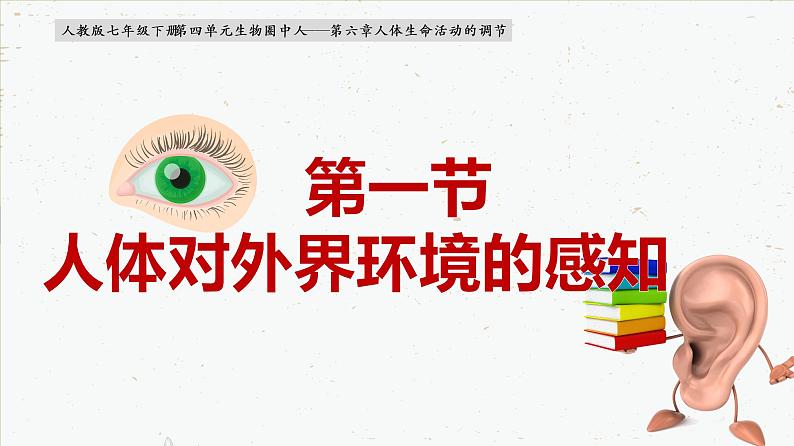 4-6-1人体对外界环境的感知-2021-2022学年七年级生物下学期同步精品课件（人教版）第1页