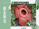 11-1地面上的植物（第一课时）-【备课精选】2021-2022学年七年级生物下册同步教学精品课件（苏科版）