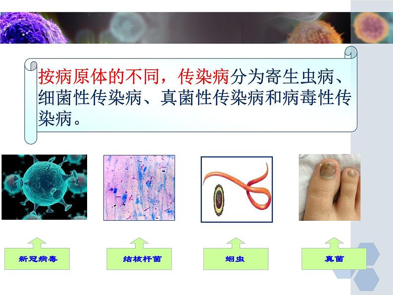 6-2疾病与预防（常见的疾病、传染病的预防）【精准备课】2021-2022学年七年级生物下册同步教学优质课件（冀少版）05