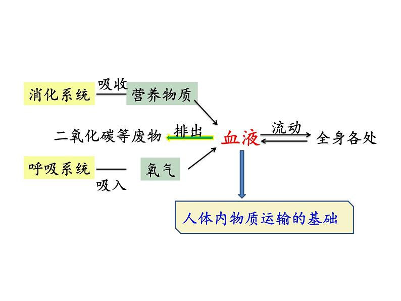 流动的组织——血液（上课亲用）课件PPT03