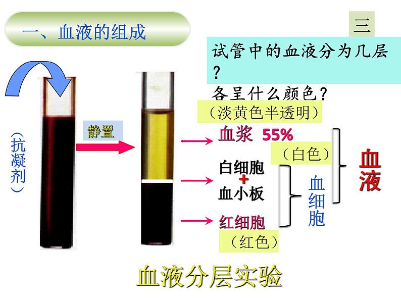 流动的组织——血液（上课亲用）课件PPT06