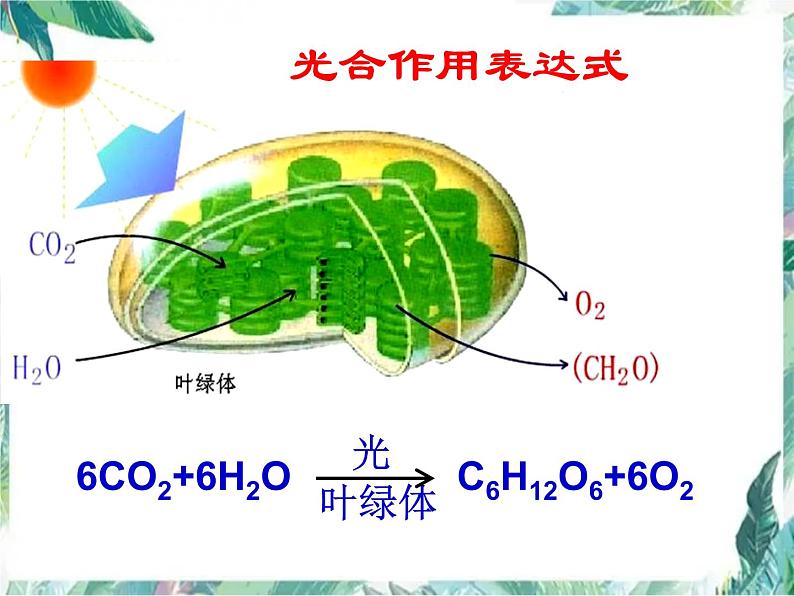 光合作用复习 优质复习公开课课件第5页