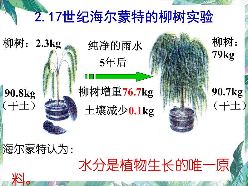 光合作用复习 优质复习公开课课件第7页