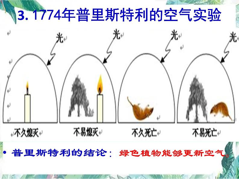 光合作用复习 优质复习公开课课件第8页