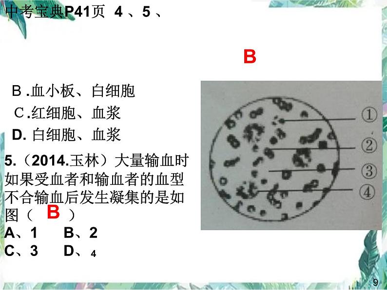 生物第二轮专项复习 人体内的物质运输 优质课件第7页