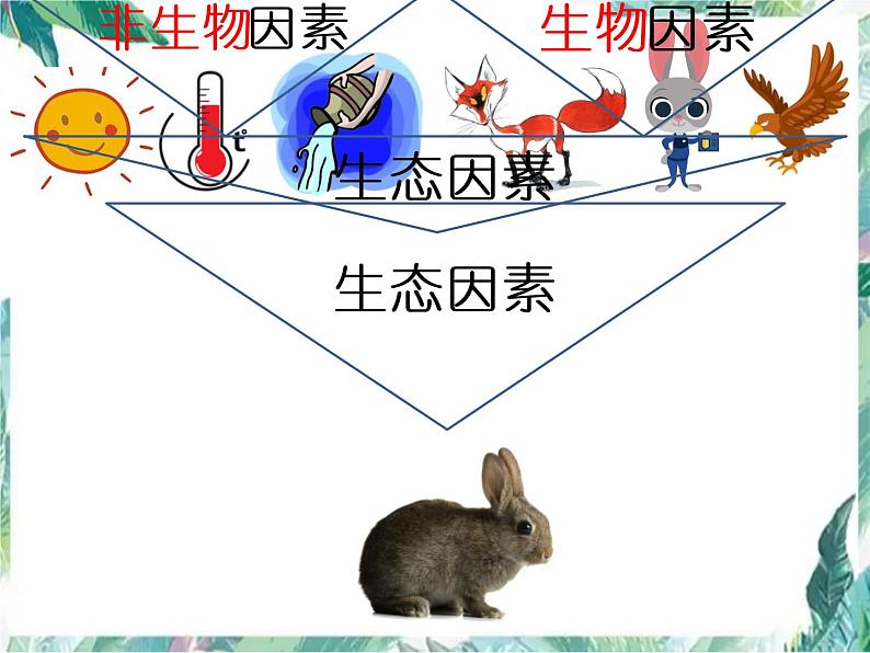 第一单元 生物和生物圈 复习课课件PPT07