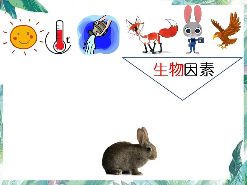 第一单元 生物和生物圈 复习课课件PPT08