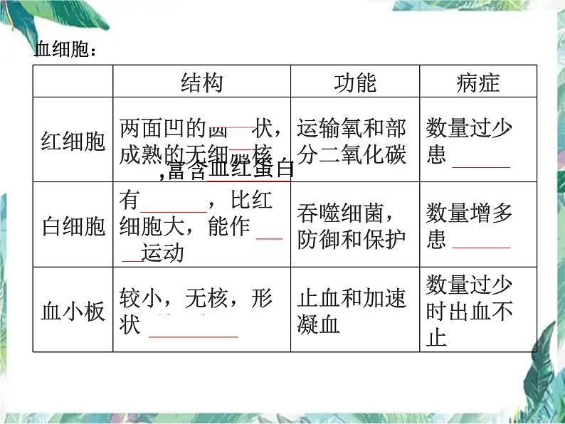 中考生物复习课件：人体内的物质运输 优质课件第5页