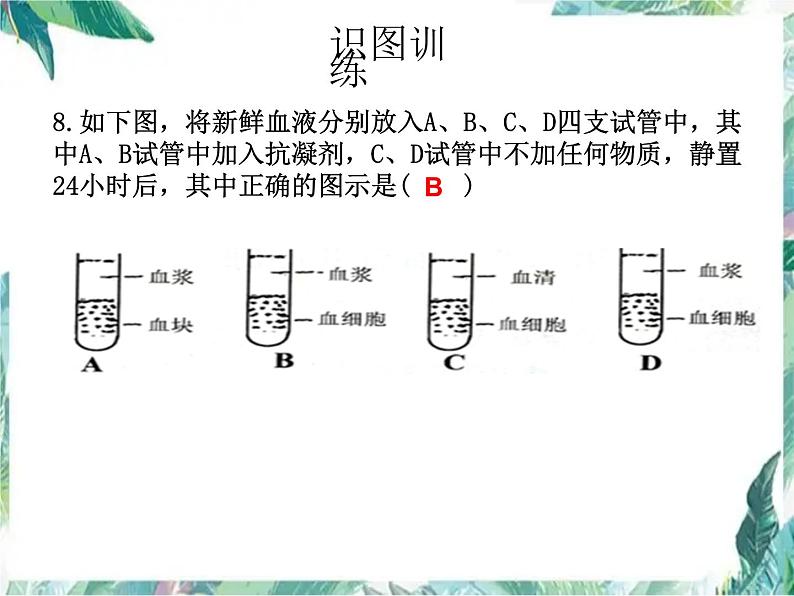 中考生物复习课件：人体内的物质运输 优质课件第8页