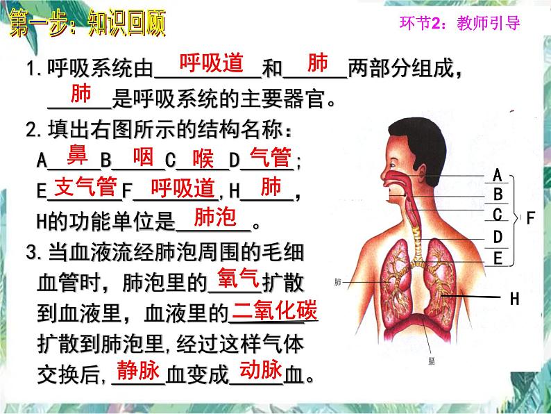 生物会考专项复习 第四章 人体内物质的运输 复习课优质课件04