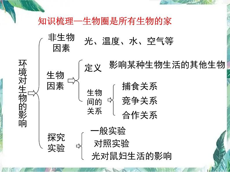 中考生物复习 《了解生物圈》复习优质课件03