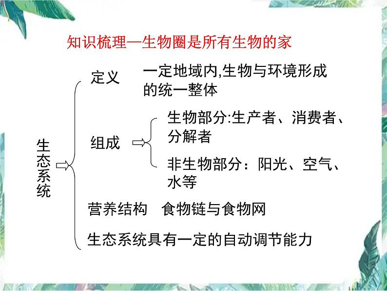 中考生物复习 《了解生物圈》复习优质课件05