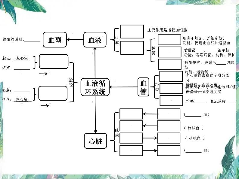 生物专题复习 第9章 《人体内的物质运输》复习优质课课件PPT第2页