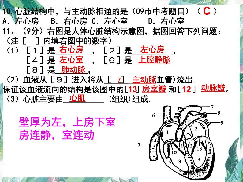 生物专题复习 第9章 《人体内的物质运输》复习优质课课件PPT第7页