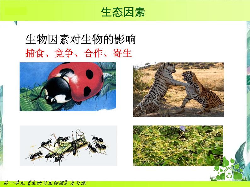 第一单元生物和生物圈复习公开课课件PPT07