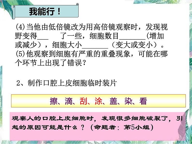 生物复习 第四章生物体的结构层次（复习课）课件PPT第5页