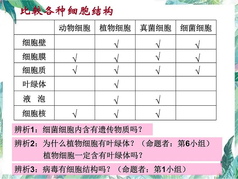 生物复习 第四章生物体的结构层次（复习课）课件PPT第6页