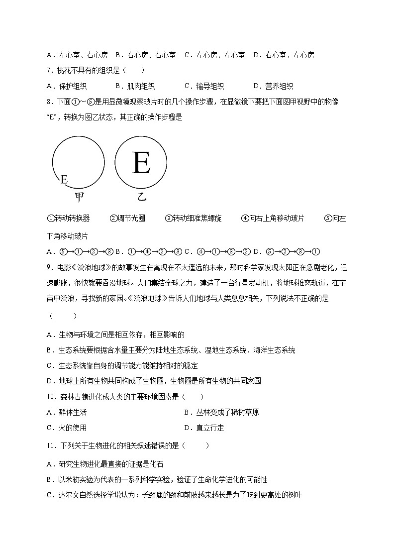 2022年四川省成都市八年级中考生物模拟试题（一）02