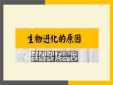 初中生物北京版八年级上册 生物的进化生物进化的原因部优课件