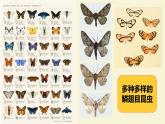 初中生物北京版八年级上册 生物的进化生物进化的原因部优课件